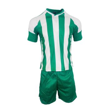 Argentina Football Kit Pack of 14 - Emerald/White