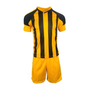 Argentina Football Kit Pack of 14 - Gold/Black