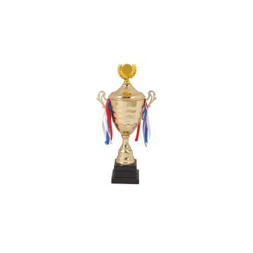 Peak Cup Trophy