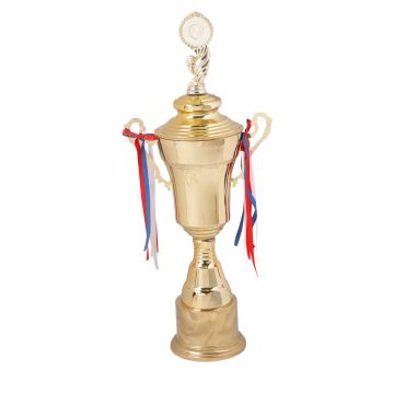 Championship Golden Cup Trophy