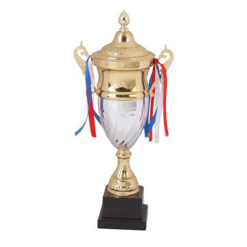Dual Cup Trophy