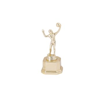 Championship Volleyball Trophy