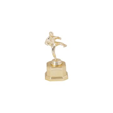 Championship Karate Trophy