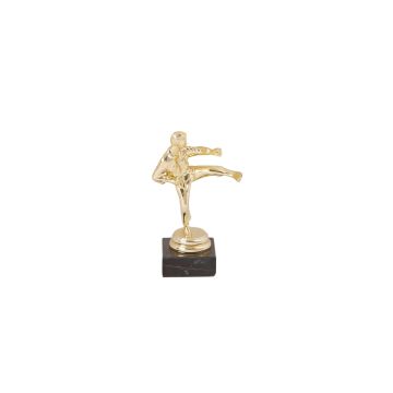 Classic Karate Trophy