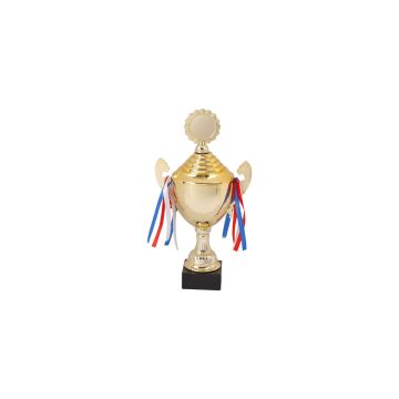 Pinnacle Cup Trophy