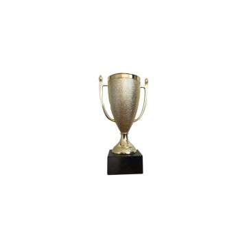 Mini Championship Trophy