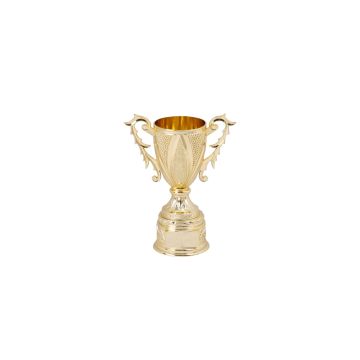 Olympic Open Cup Trophy – Gold