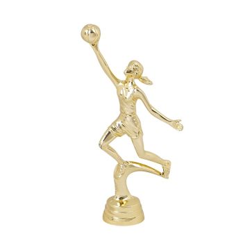 Netball Trophy
