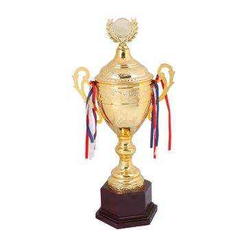 Premium Large Cup Trophy