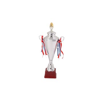 Winner Cup Silver Trophy