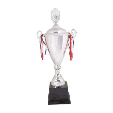 Championship Silver Trophy