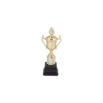 Classic Award Pillar Small Trophy
