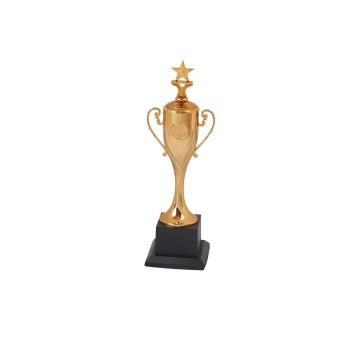 Star Bronze Trophy Cup