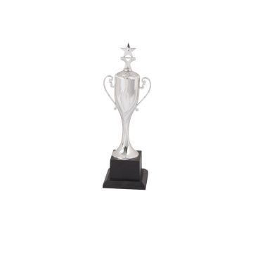 Star Silver Cup Trophy